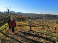 CAMMINATA IN TECNICA NORDIC WALKING ASTI / NIZZA