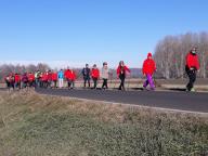 CAMMINATE IN TECNICA NORDIC WALKING