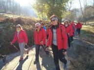 CAMMINATE IN TECNICA NORDIC WALKING