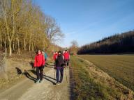 CAMMINATE IN TECNICA NORDIC WALKING