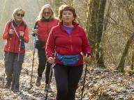 CAMMINATA IN TECNICA NORDIC WALKING