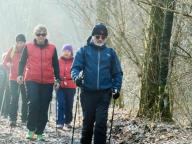 CAMMINATA IN TECNICA NORDIC WALKING