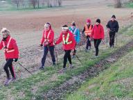 CAMMINATE IN TECNICA NORDIC WALKING