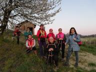 CAMMINATE IN TECNICA NORDIC WALKING