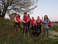 CAMMINATE IN TECNICA NORDIC WALKING