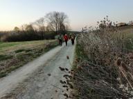 CAMMINATA IN TECNICA NORDIC WALKING CON PAOLA R.