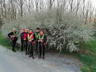 CAMMINATA IN TECNICA NORDIC WALKING CON PAOLA R.