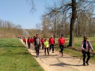 CAMMINATA IN TECNICA NORDIC WALKING