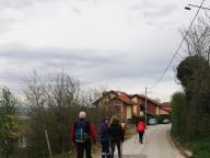 CAMMINATE IN TECNICA NORDIC WALKING