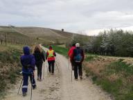 CAMMINATE IN TECNICA NORDIC WALKING