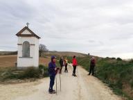 CAMMINATE IN TECNICA NORDIC WALKING