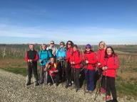 CAMMINATA IN TECNICA NORDIC WALKING