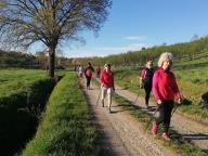 CAMMINATA IN TECNICA NORDIC WALKING