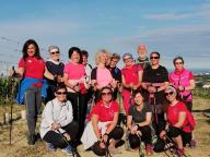 CAMMINATE IN TECNICA NORDIC WALKING