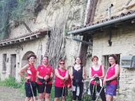 CAMMINATE IN TECNICA NORDIC WALKING