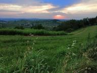 CAMMINATA IN TECNICA NORDIC WALKING CON PAOLA R.