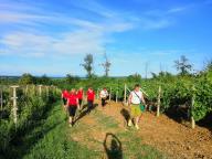 CAMMINATA IN NORDIC WALKING CON PAOLA R.