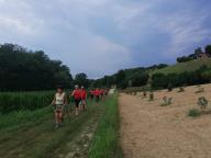 CAMMINATE IN TECNICA NORDIC WALKING