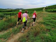 CAMMINATA IN TECNICA NORDIC WALKING CON PAOLA R.