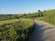 CAMMINATA IN TECNICA NORDIC WALKING CON PAOLA R.