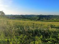 CAMMINATA IN TECNICA NORDIC WALKING CON PAOLA R.