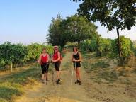 CAMMINATA IN TECNICA NORDIC WALKING CON PAOLA R.