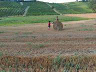 CAMMINATA IN TECNICA NORDIC WALKING CON PAOLA R.