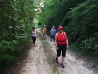 CAMMINATE IN TECNICA NORDIC WALKING