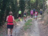 CAMMINATE IN TECNICA NORDIC WALKING