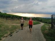 CAMMINATA IN NORDIC WALKING CON PAOLA R.