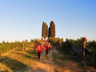 CAMMINATA IN TECNICA NORDIC WALKING CON PAOLA R.