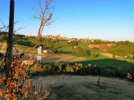 CAMMINATA IN TECNICA NORDIC WALKING CON PAOLA R.