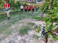 CAMMINATE IN TECNICA NORDIC WALKING