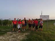 CAMMINATE IN TECNICA NORDIC WALKING