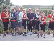 CAMMINATE IN TECNICA NORDIC WALKING