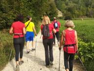 CAMMINATE IN TECNICA NORDIC WALKING