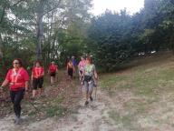 CAMMINATE IN TECNICA NORDIC WALKING