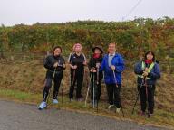 CAMMINATE IN TECNICA NORDIC WALKING