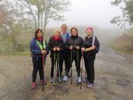 CAMMINATE IN TECNICA NORDIC WALKING