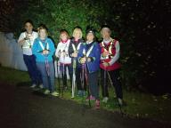 CAMMINATE IN TECNICA NORDIC WALKING