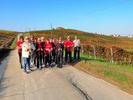 CAMMINATE IN TECNICA NORDIC WALKING