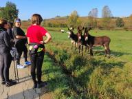 CAMMINATE IN TECNICA NORDIC WALKING