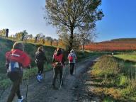 CAMMINATE IN TECNICA NORDIC WALKING