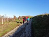 CAMMINATE IN TECNICA NORDIC WALKING