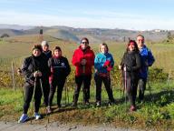 CAMMINATE IN TECNICA NORDIC WALKING