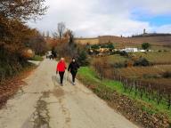 CAMMINATE IN TECNICA NORDIC WALKING