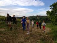 CAMMINATA IN TECNICA NORDIC WALKING