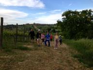 CAMMINATA IN TECNICA NORDIC WALKING