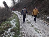 CAMMINATA IN TECNICA NORDIC WALKING