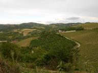 CAMMINATA PANORAMICA A CALAMANDRANA